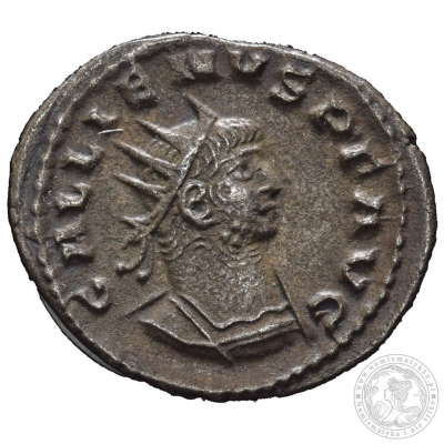 Cesarstwo Rzymskie, Gallienus 253–268, Antoninianus